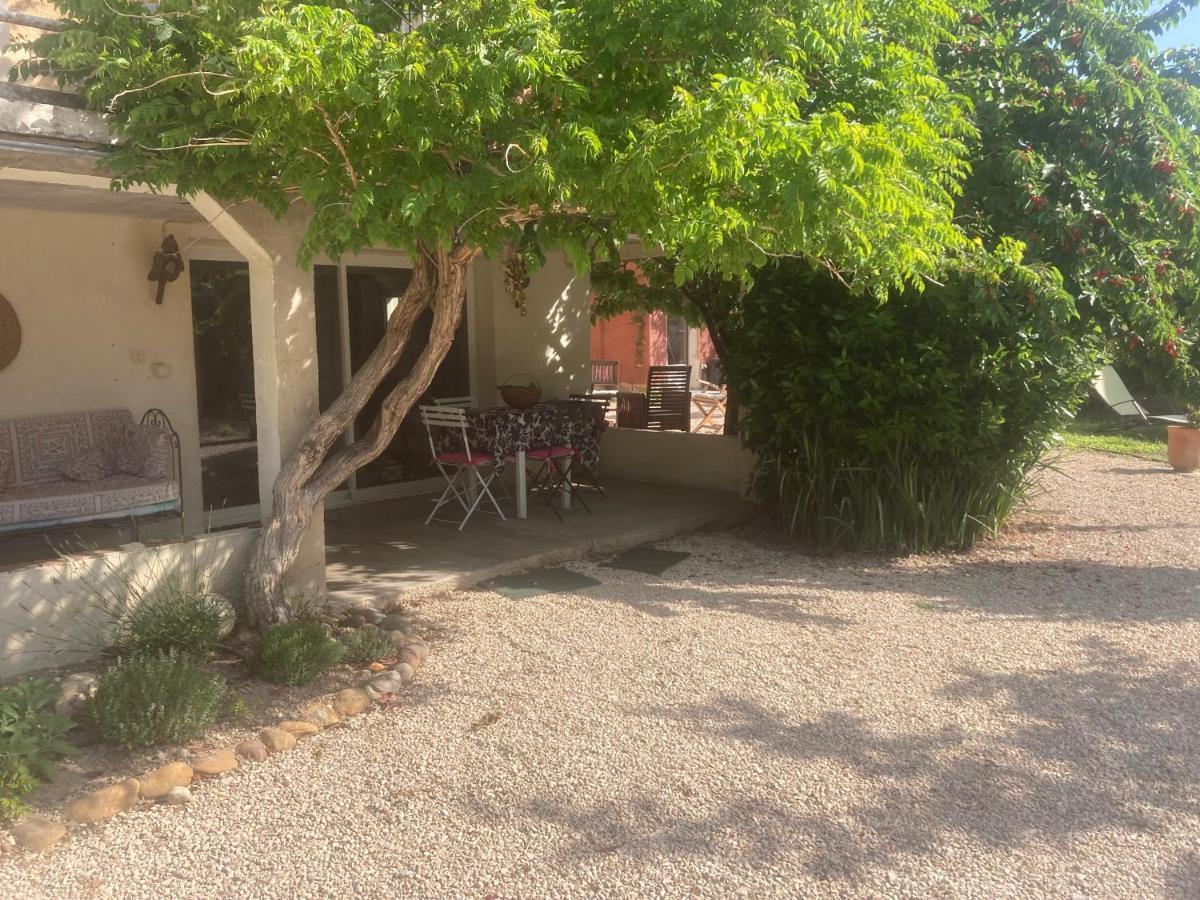Chez Zabou Διαμέρισμα Carpentras Εξωτερικό φωτογραφία