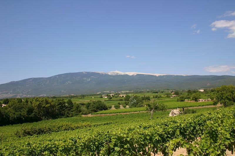 Chez Zabou Διαμέρισμα Carpentras Εξωτερικό φωτογραφία
